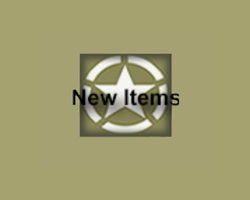 (A) New Items